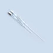 Pasteur pipette, glass, cotton plugged, 230 mm